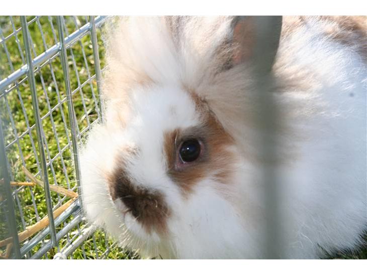 {{currentPhoto.altText}} billede {{currentPhoto.number}}