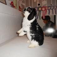 Kanin Pjuske R.I.P :'(