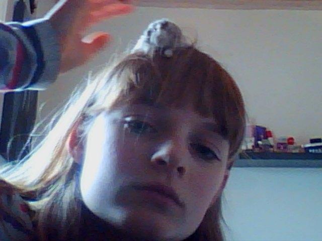 Dværghamster Alvin/Life - " det er ligesom en rede" billede 13