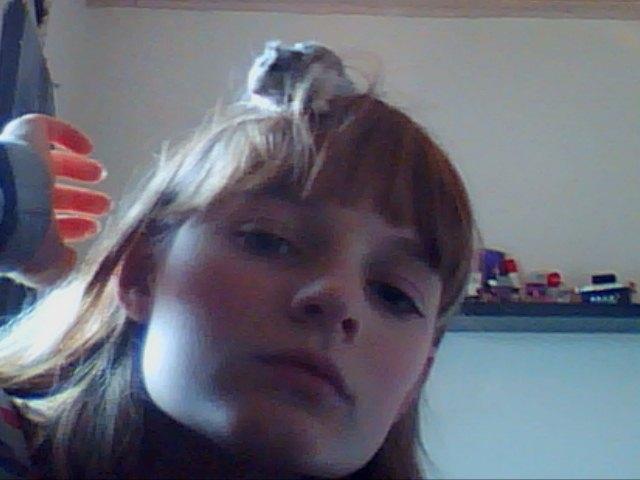 Dværghamster Alvin/Life - Hygge.. billede 14