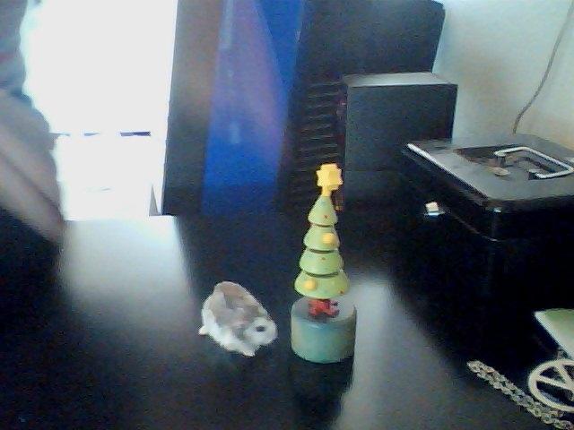 Dværghamster Alvin/Life - Nu var det jul.. dette juletræ stod i alvins bur billede 15