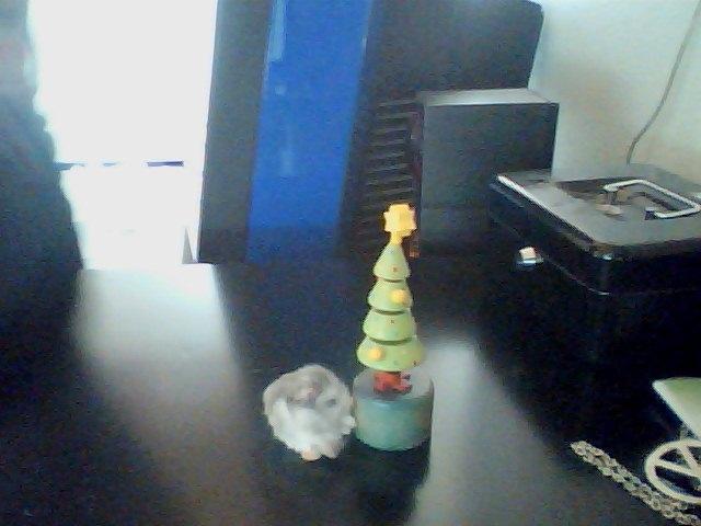 Dværghamster Alvin/Life - " jeg elsker det juletræ" billede 16