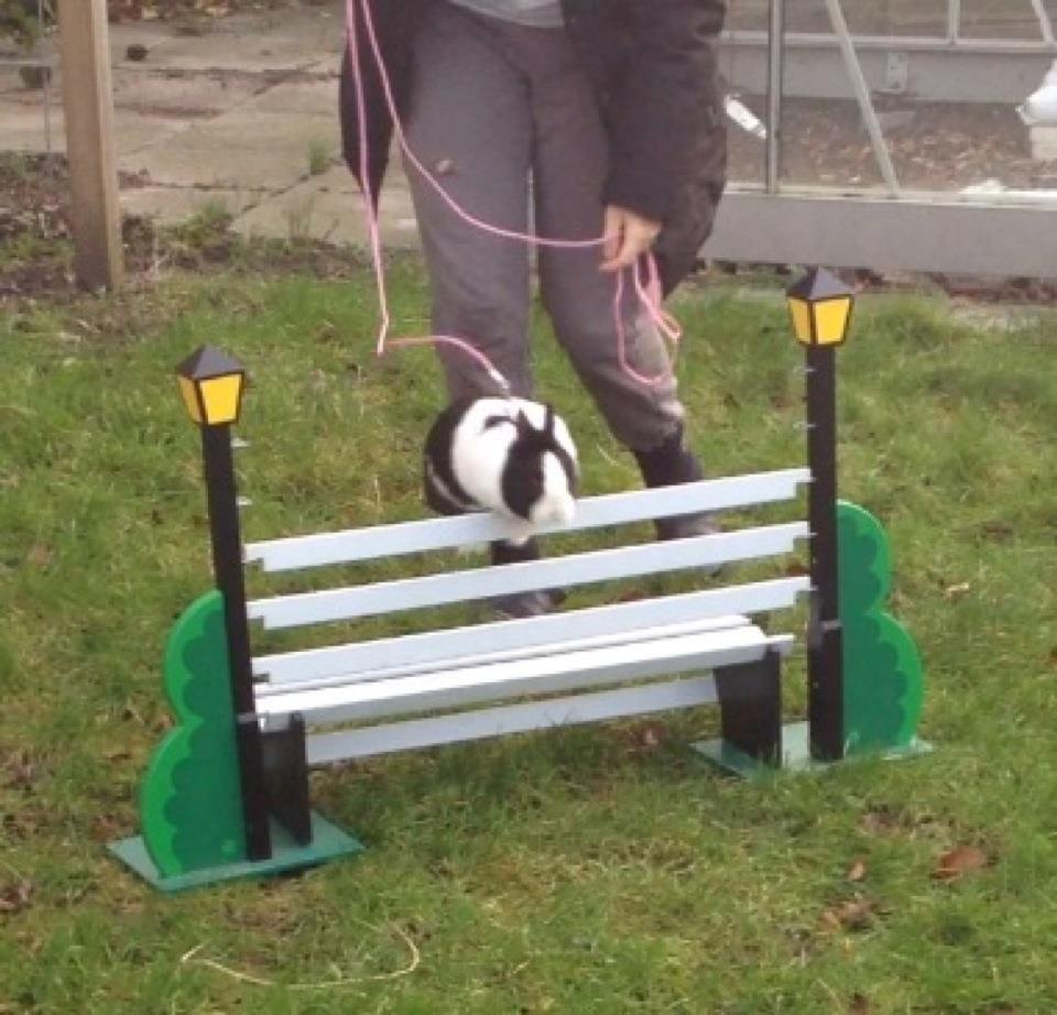 Kanin Ålbækkegårds Herbert Andersen billede 19