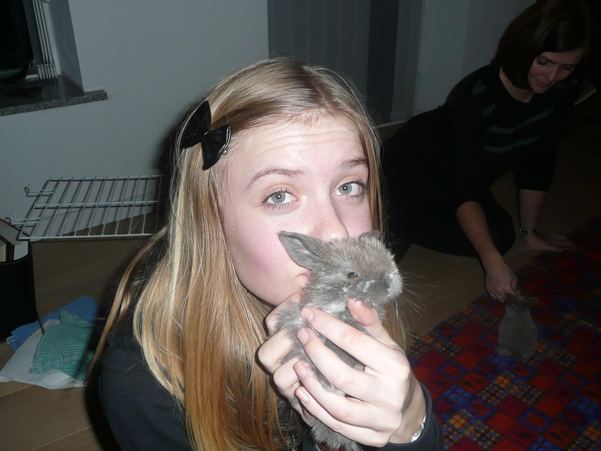 Kanin Bamse °Himmelgnaver° - Bamse og mig <3 billede 8