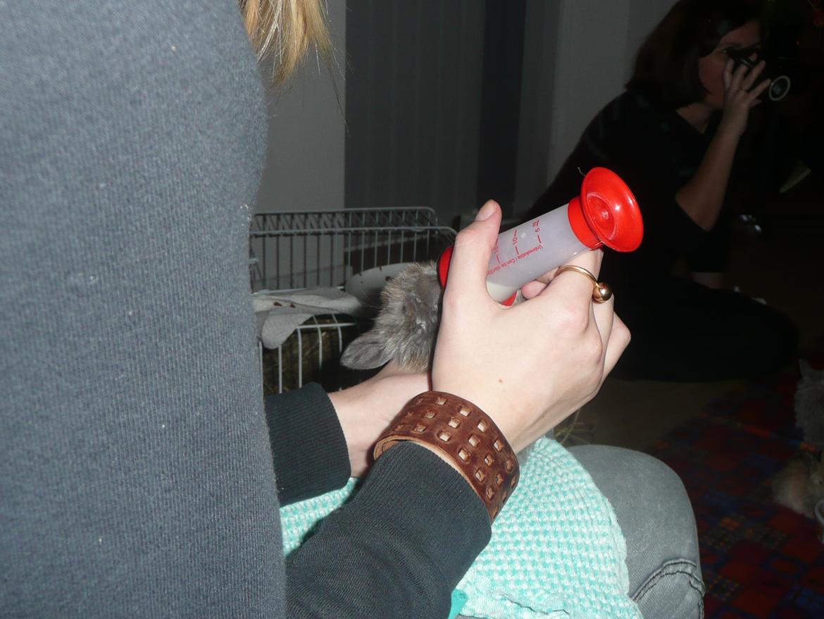 Kanin Bamse °Himmelgnaver° - Mig der giver Bamse flaske <3 billede 9