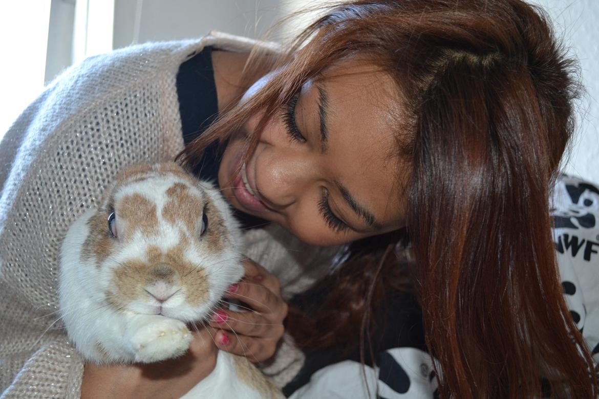 Kanin Princeton a.k.a Prins. billede 11