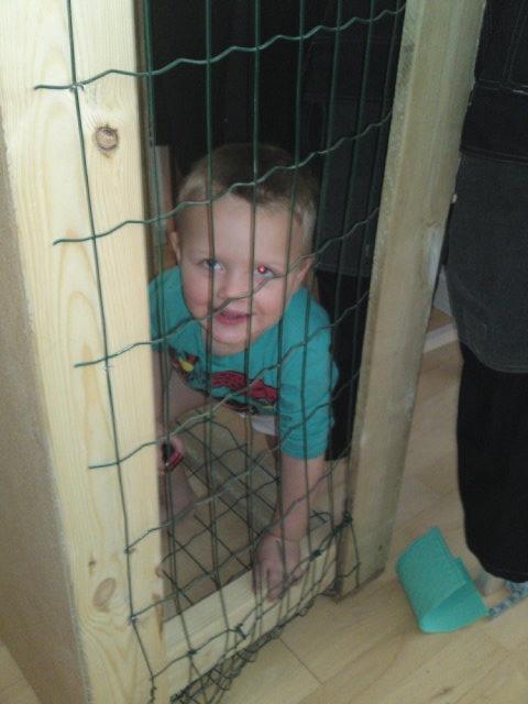 Kanin Berta billede 2