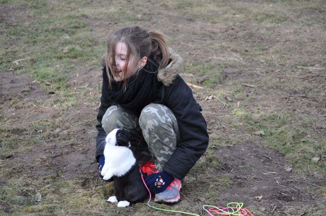 Kanin Mimrelunds Narbona Primero billede 7