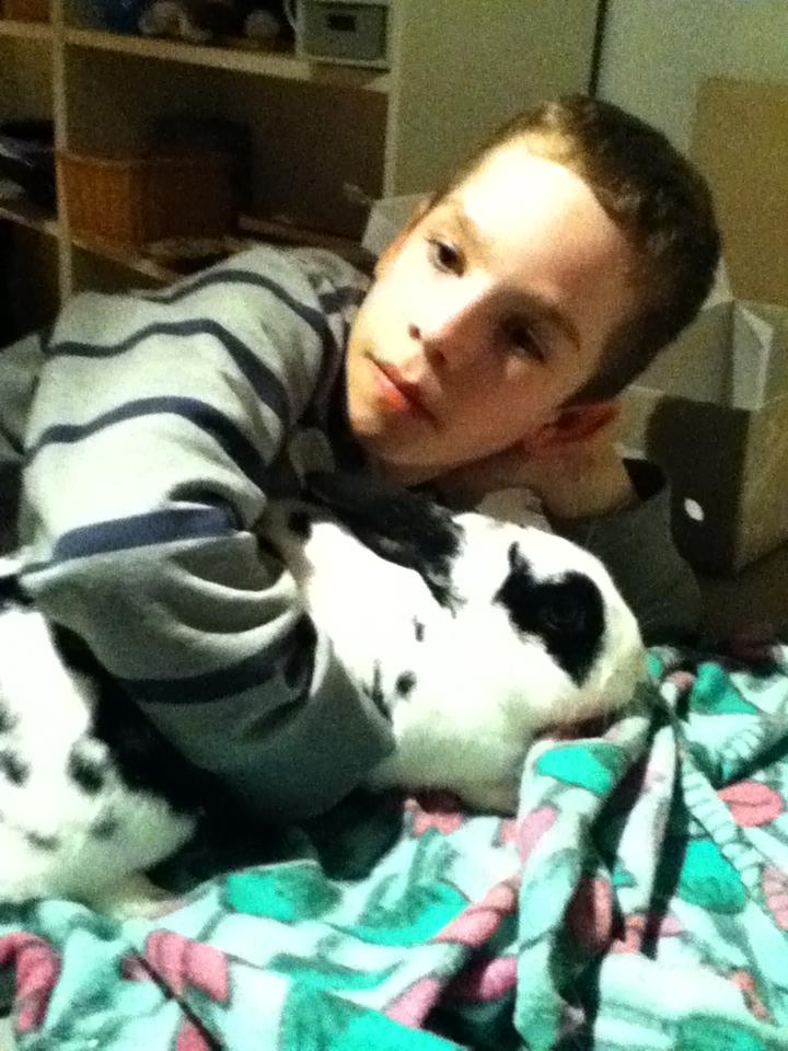 Kanin kaninnus billede 2