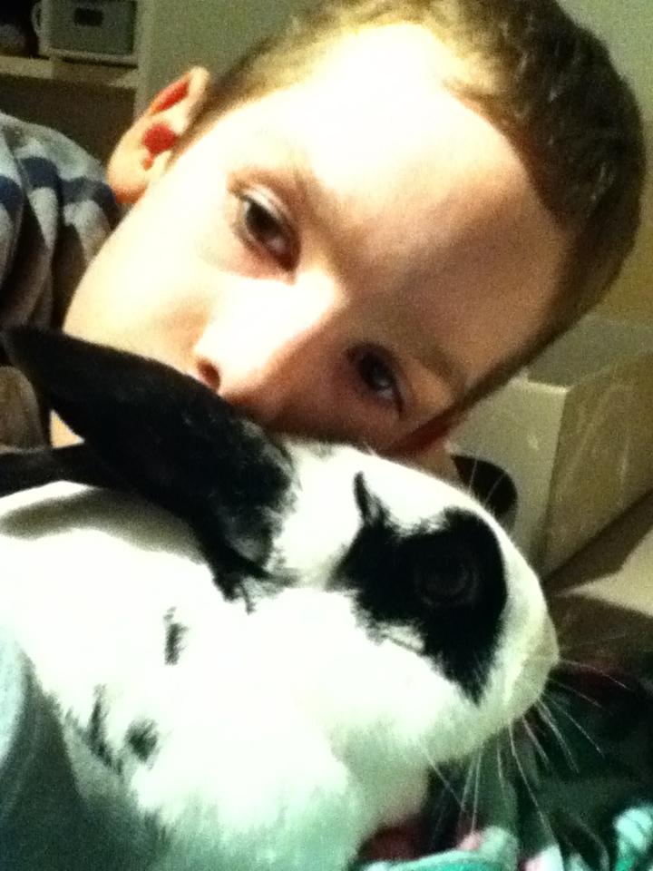 Kanin kaninnus billede 3