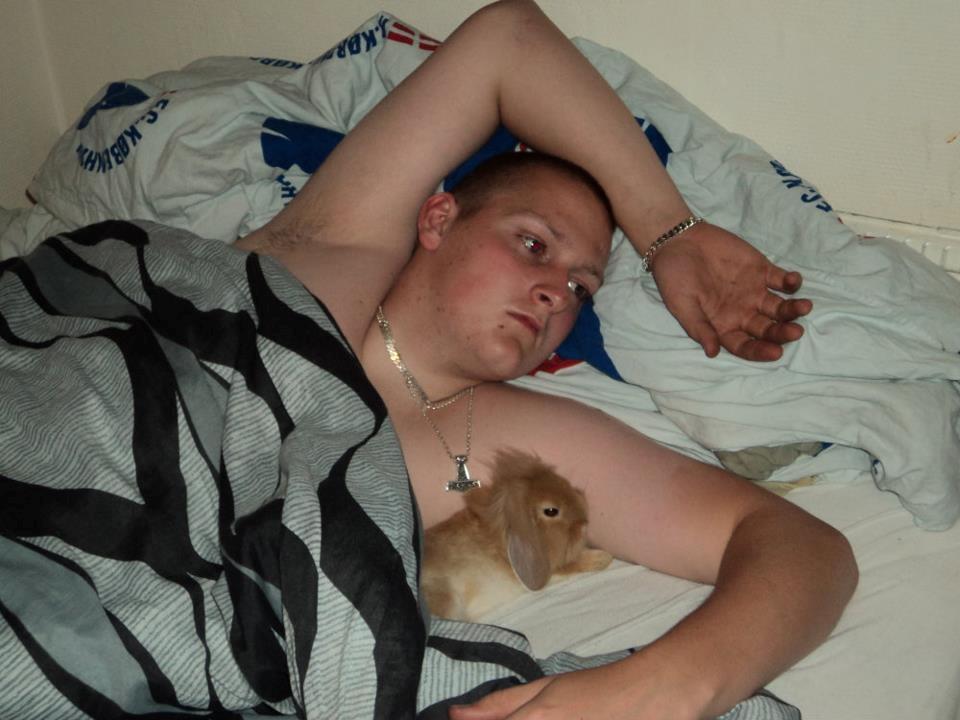 Kanin Simba !  - Mine to guldklumper ;) billede 7