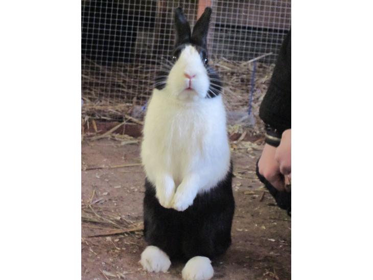 {{currentPhoto.altText}} billede {{currentPhoto.number}}