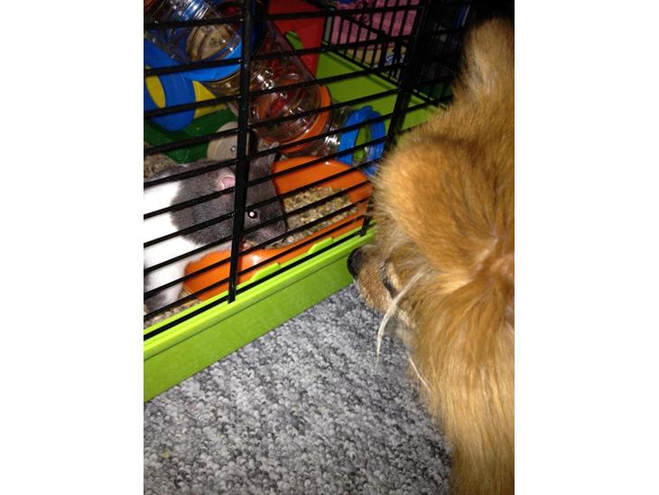 {{currentPhoto.altText}} billede {{currentPhoto.number}}