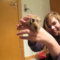 Hamster Lady Maryon