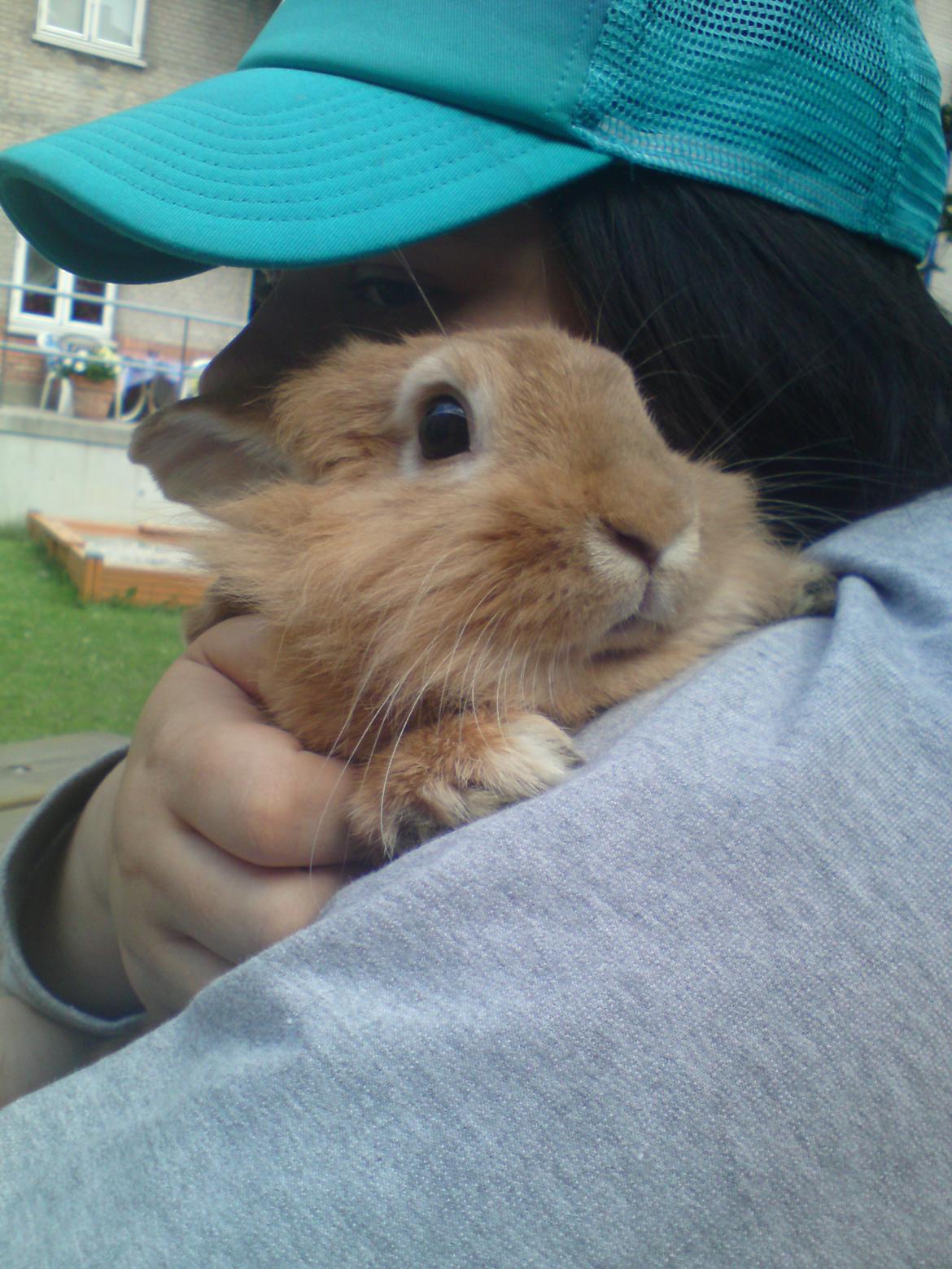 Kanin Pjuske - min bedste veninde og min bedste kanin <3 billede 7