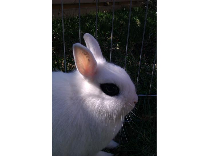 {{currentPhoto.altText}} billede {{currentPhoto.number}}