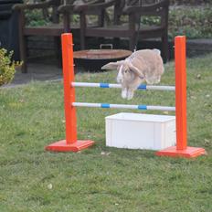 Kanin Winds Just Like Beauty