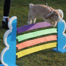 Kanin Winds Just Like Beauty