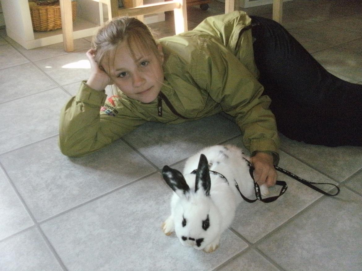 Kanin Bella - Bella og mig på køkkengulvet billede 2