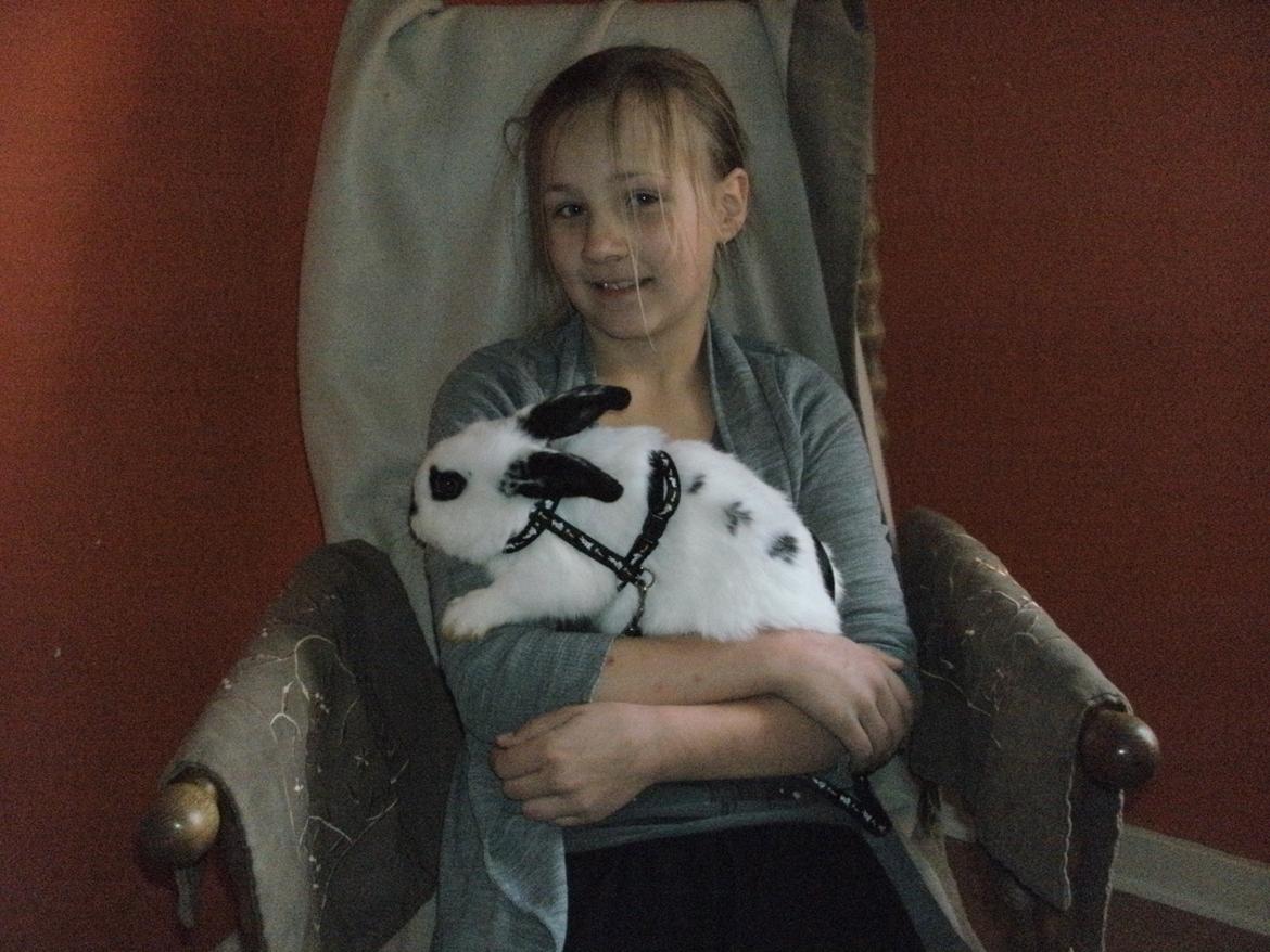 Kanin Bella - vi elsker at hygge i gyngestolen:) billede 6