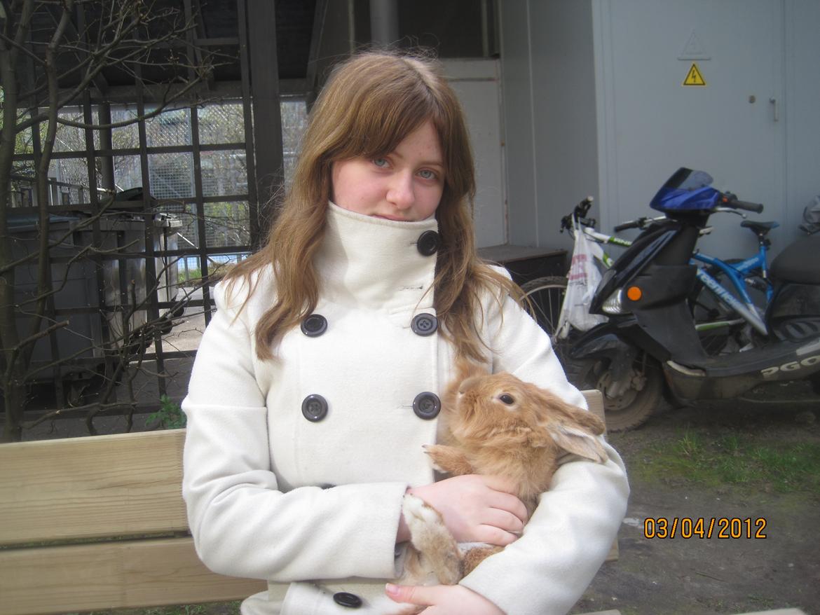 Kanin Pjuske - mig og min baby

(foto team JB!) billede 15