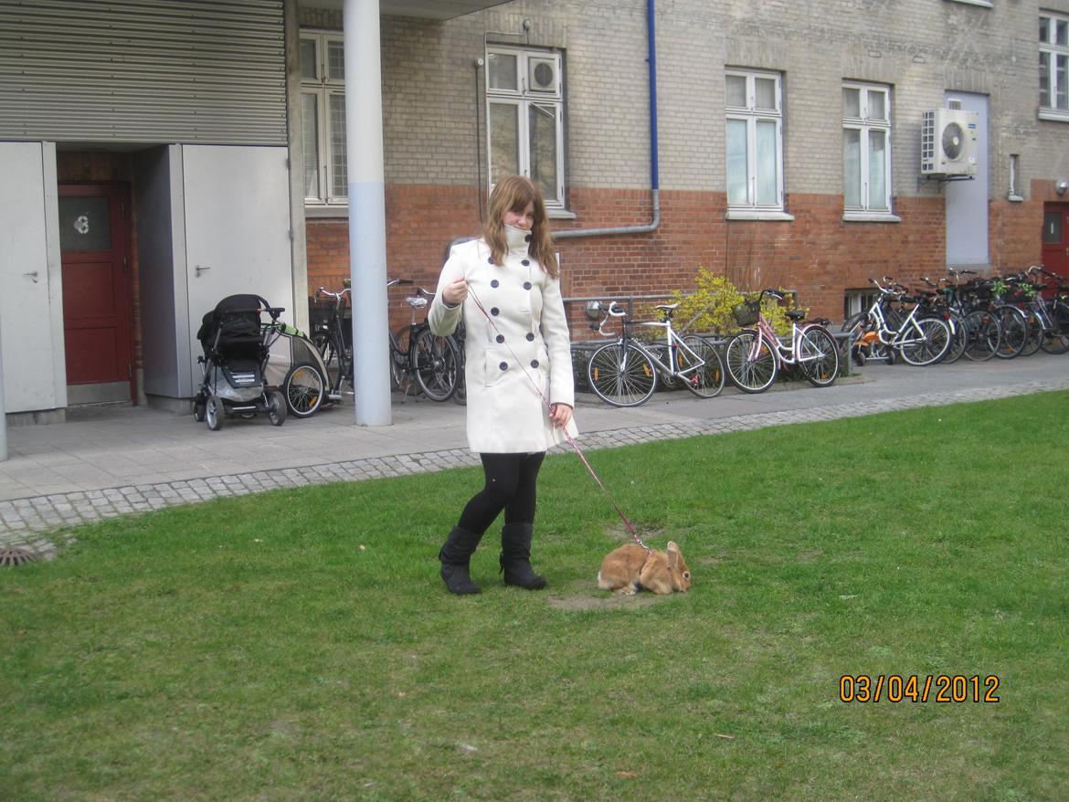 Kanin Pjuske - mig og pjuske <3

(foto team JB!) billede 17