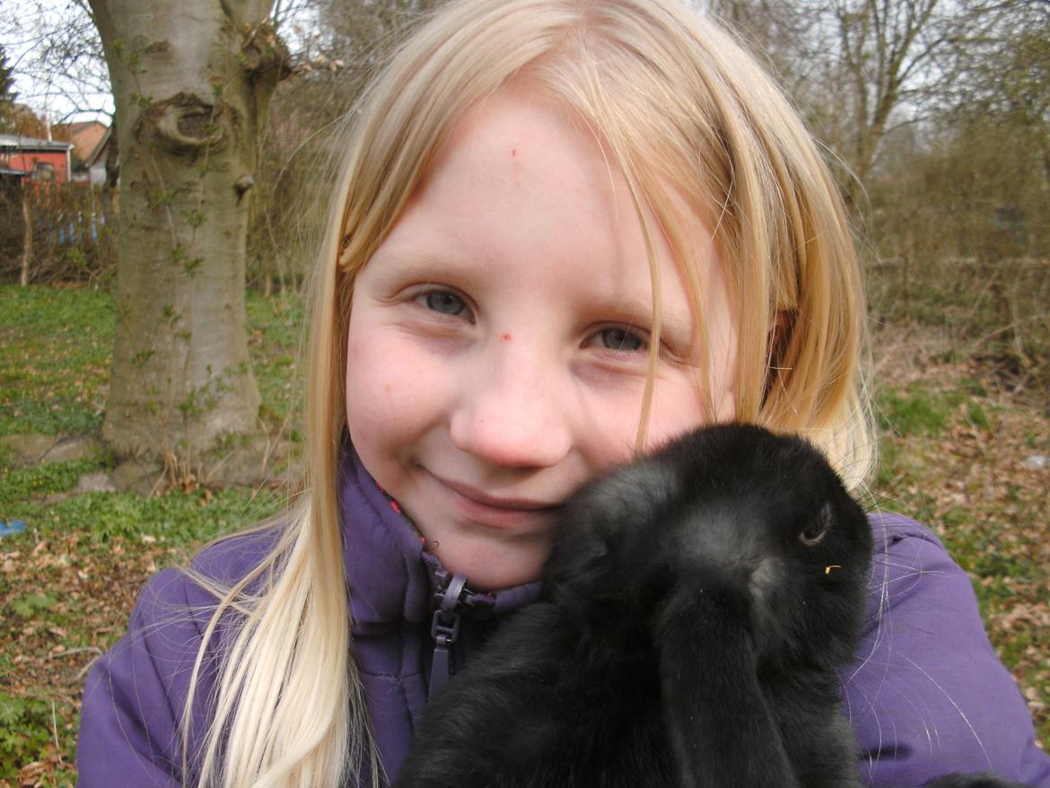 Kanin lillebror - lillebror & mig anemone. billede 2