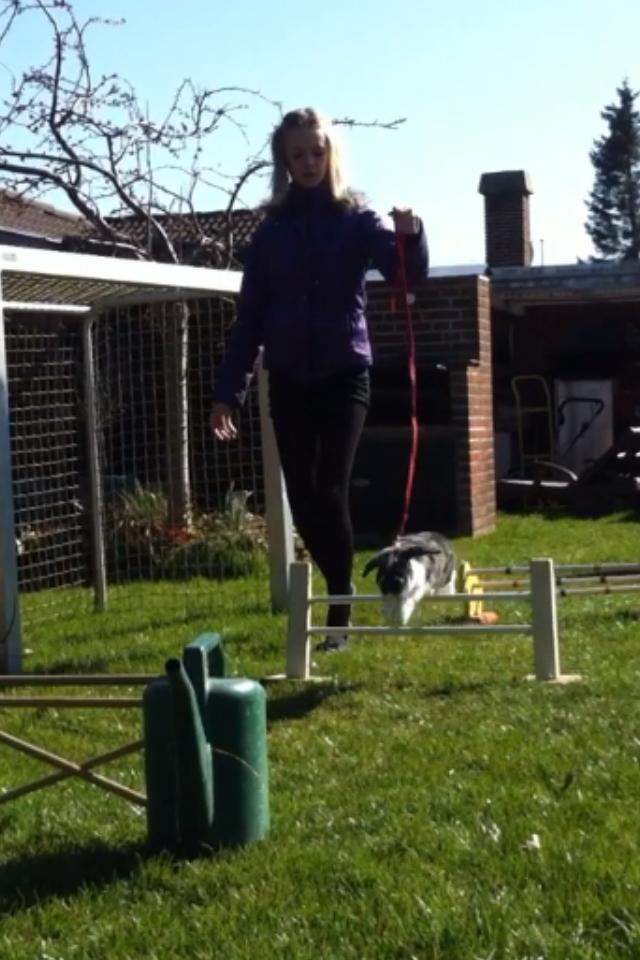 Kanin Funny's Lakio Look alike a Moviestar billede 12