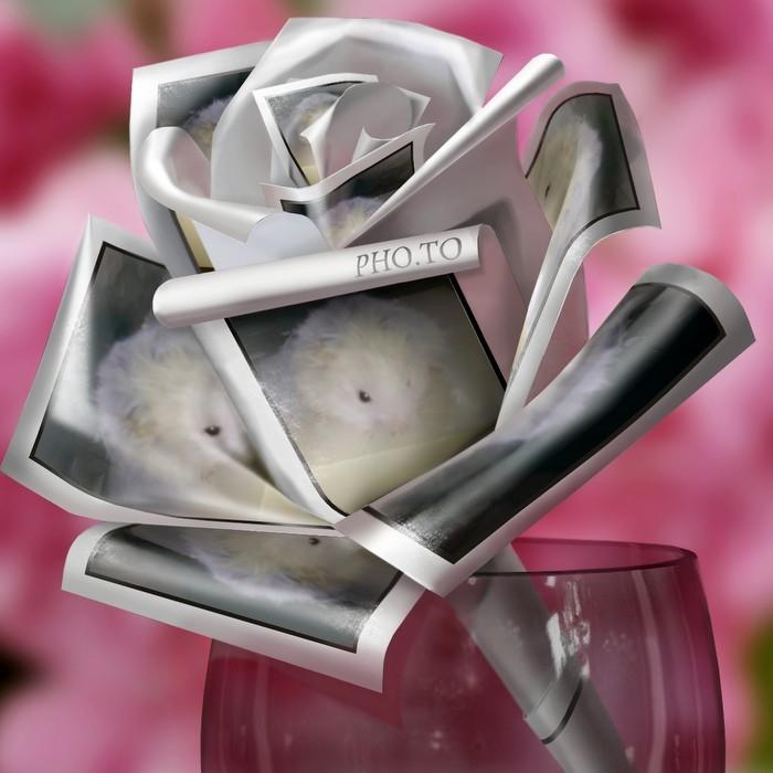 Hamster stampe - stampe er som en blomst for mig XD billede 3