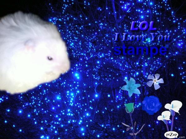 Hamster stampe - 5 ord 5 hjerter billede 4