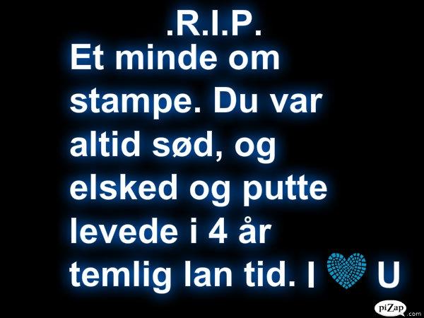 Hamster stampe - savner dig skat billede 5