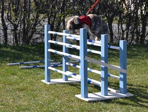 Kanin (DV) Kong Richard I  |Møffe| - Til hop dag hos Stald Unik :D Mega hyggeligt :D  billede 3