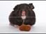 Hamster Hyggehulen's Burton