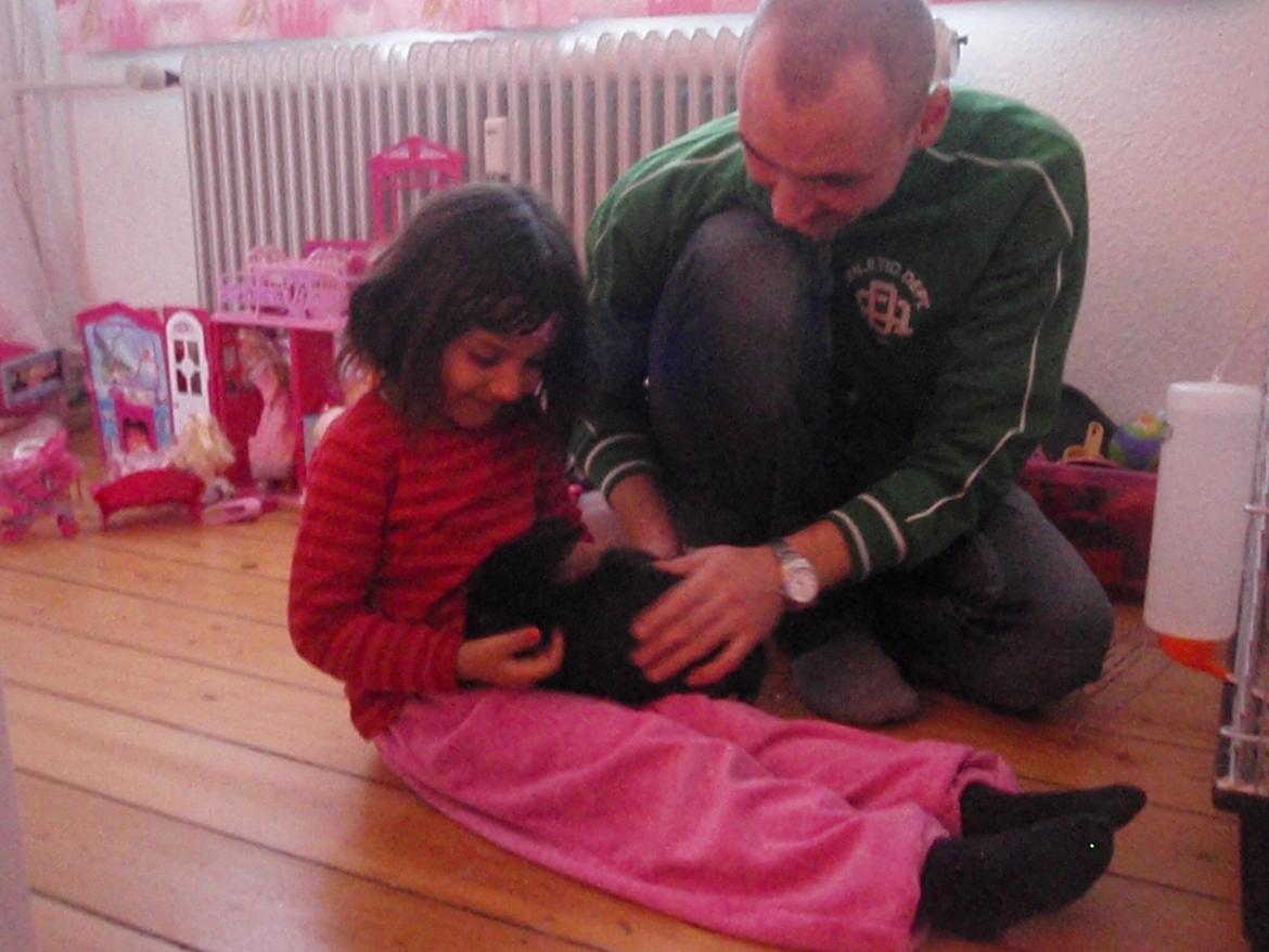 Kanin Liva billede 4