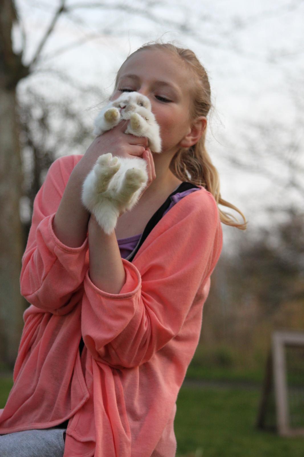 Kanin Zachos Beutiful Baby - Kildevang har taget billedet.. Miiig og Baby<3 billede 8