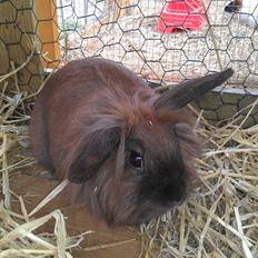 Kanin Malagas AP Want the world