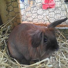 Kanin Malagas AP Want the world