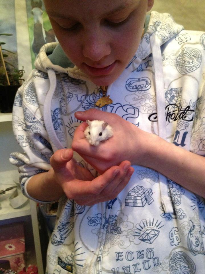 Ørkenrotte Snowy billede 4