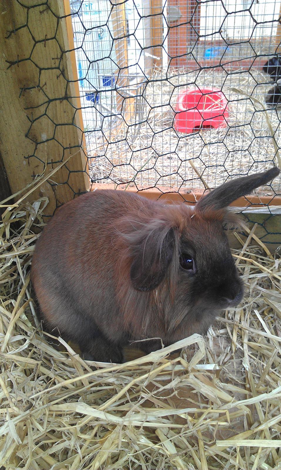 Kanin Malagas AP Want the world billede 3