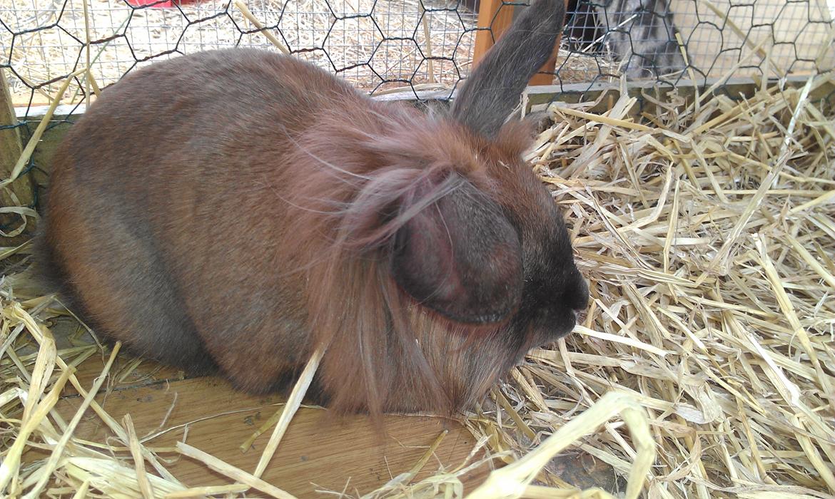 Kanin Malagas AP Want the world billede 6