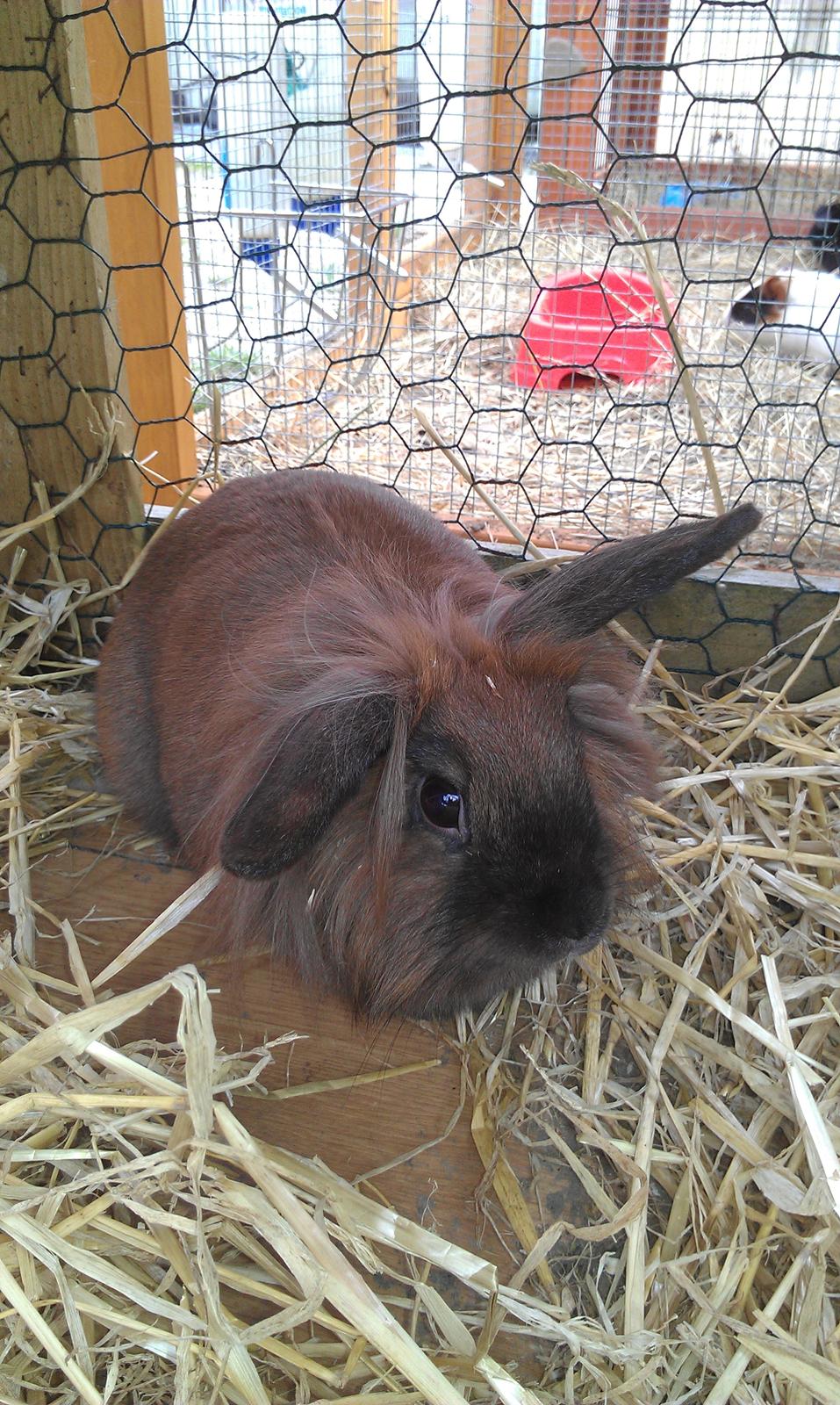 Kanin Malagas AP Want the world billede 7