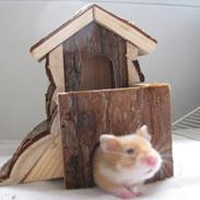 Hamster Nuga<3  R.I.P