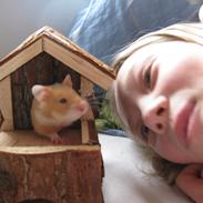 Hamster Nuga<3  R.I.P