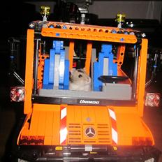 Dværghamster Betteski