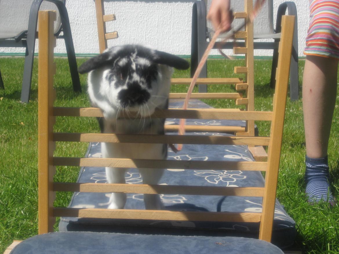 Kanin minni - Elsker dig<3<3<3 billede 6