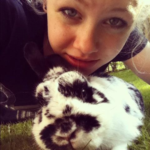 Kanin Hr. Fnuk billede 20