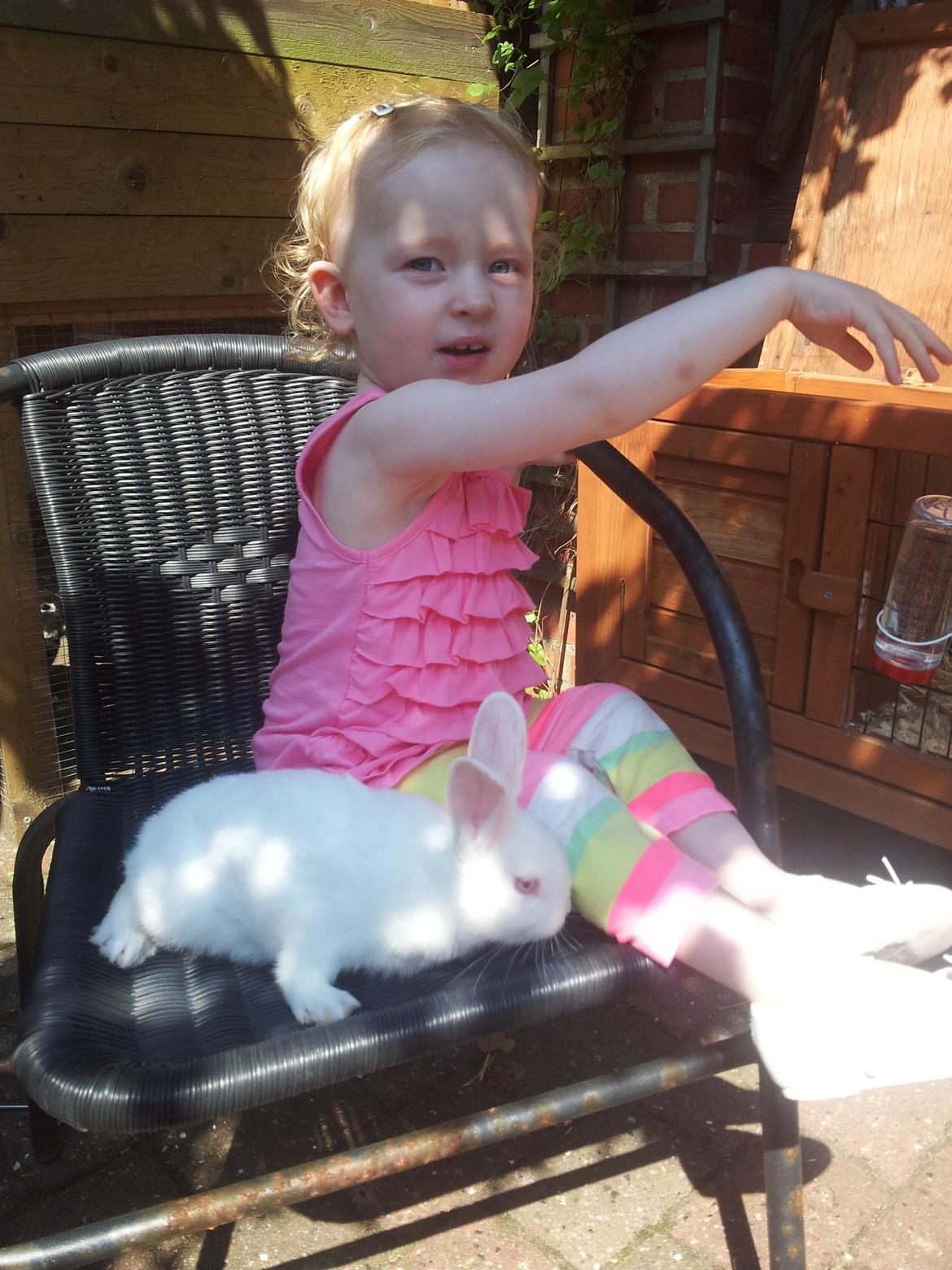 Kanin Lula billede 9