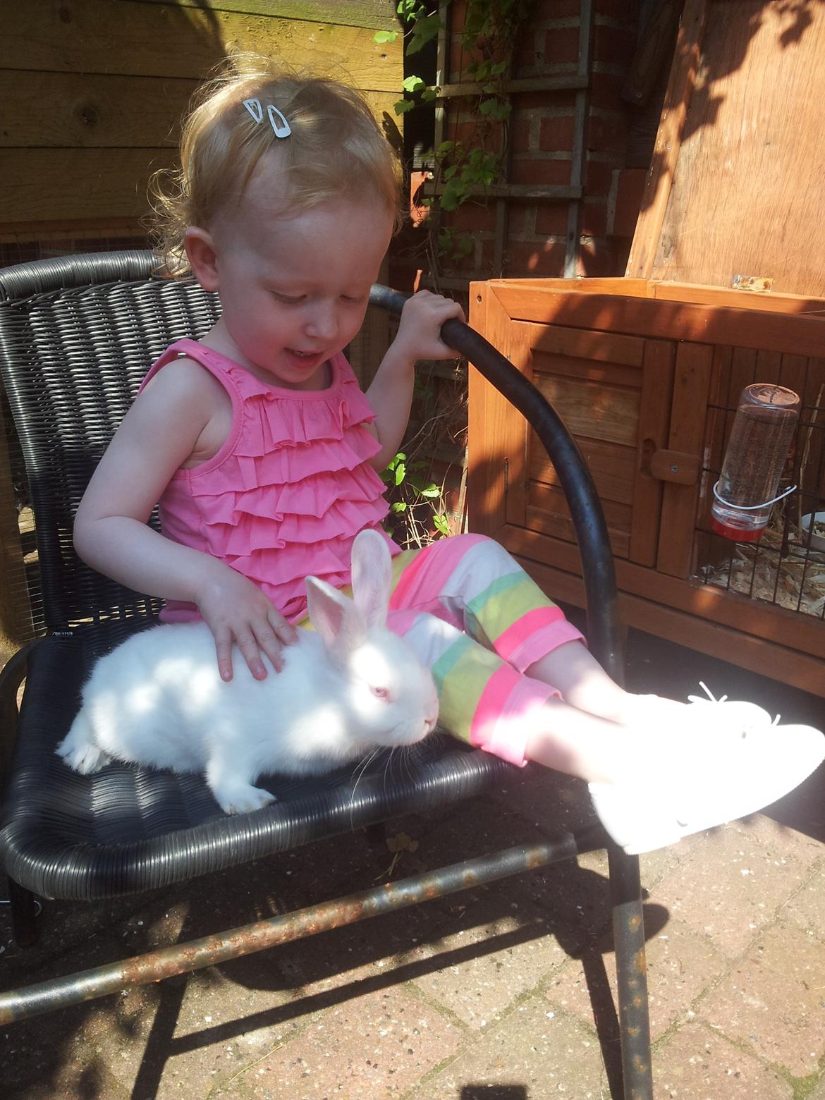 Kanin Lula billede 10