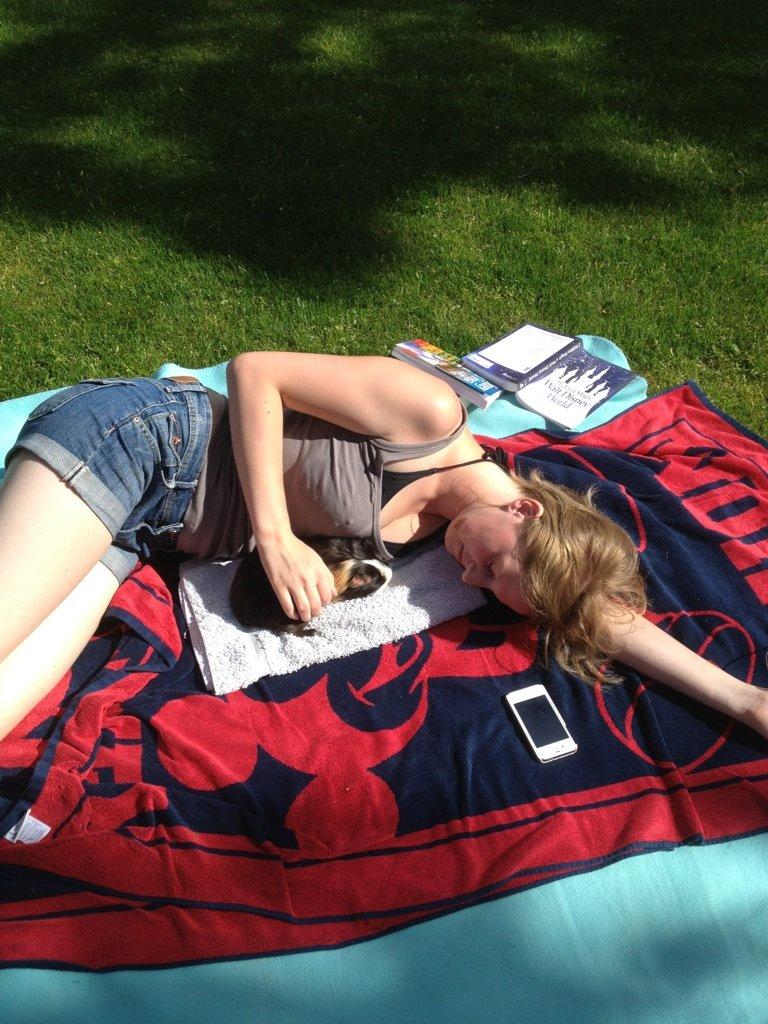 Marsvin Holger billede 16