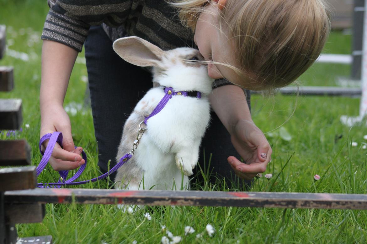 Kanin Zachos Beutiful Baby billede 11